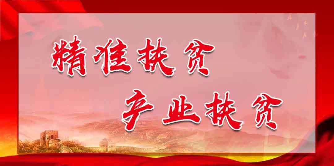 1592444463122352.jpg 9.jpg