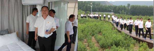 1593394652785330.jpg 6.jpg