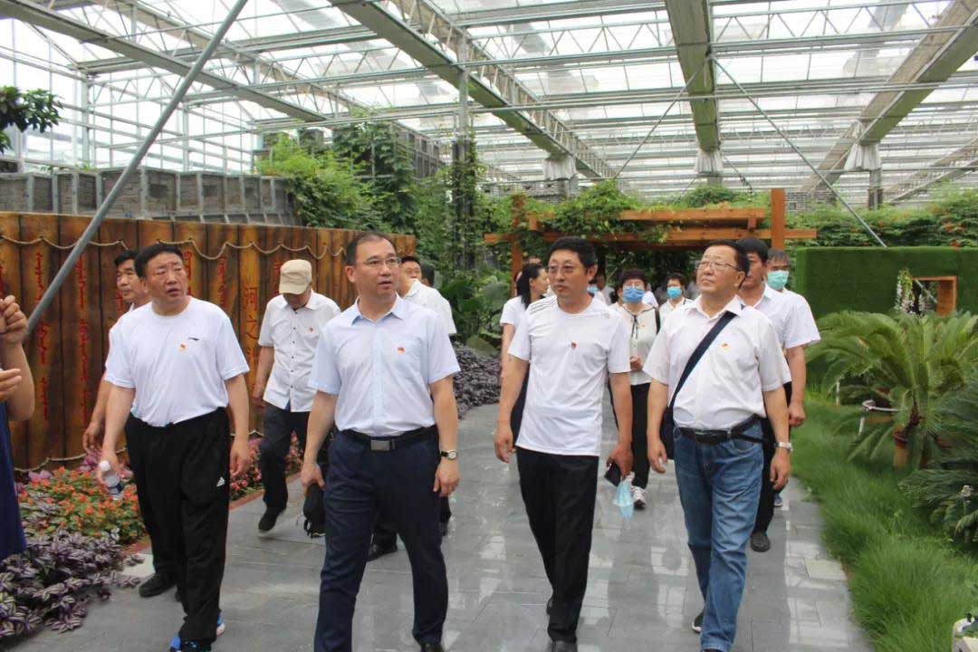 1593394660659720.jpg 1593394660659720.jpg