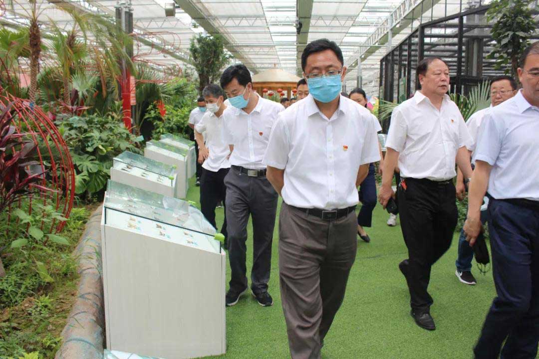 1593394992633858.jpg 1593394992633858.jpg