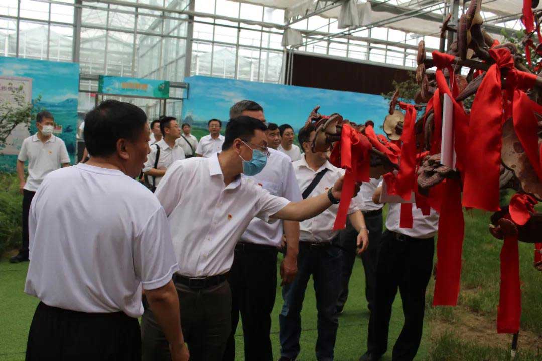 1593395015495553.jpg 1593395015495553.jpg