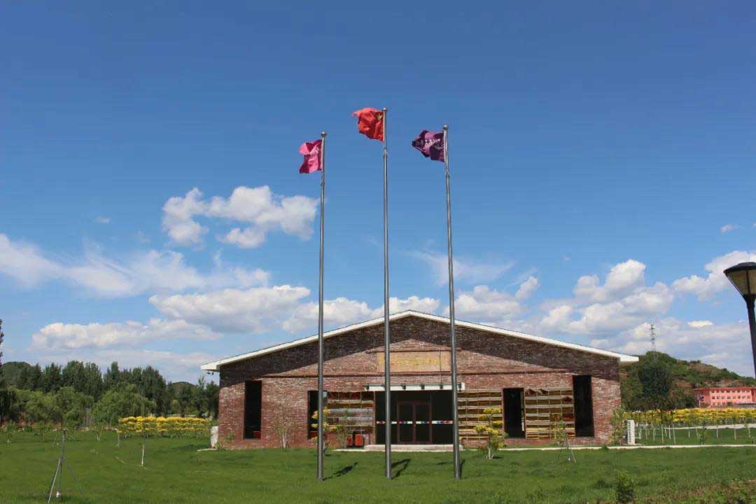 1593395080136238.jpg 1593395080136238.jpg