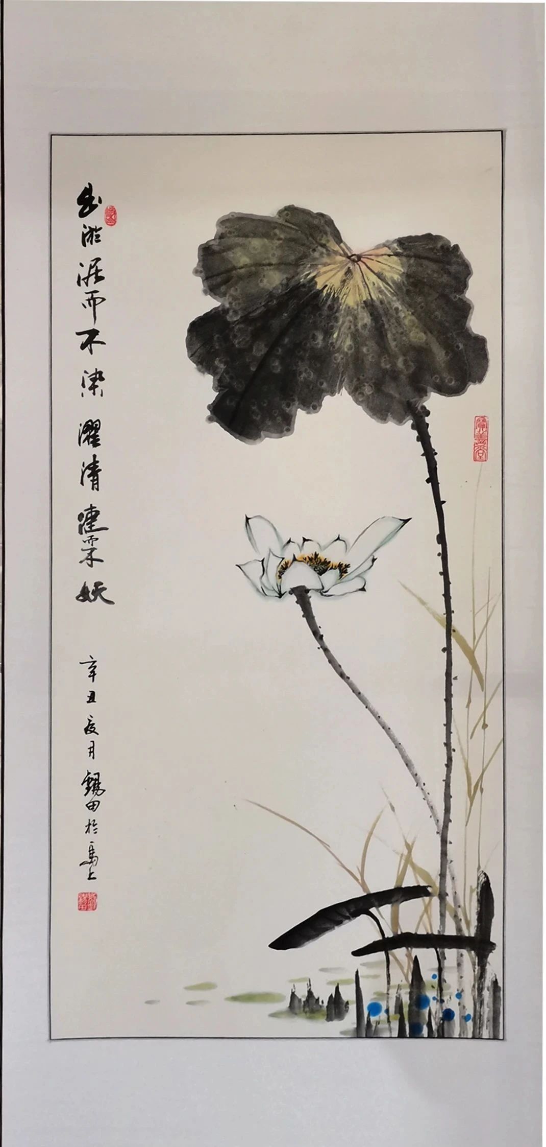 1625709786504848.jpg 12.jpg